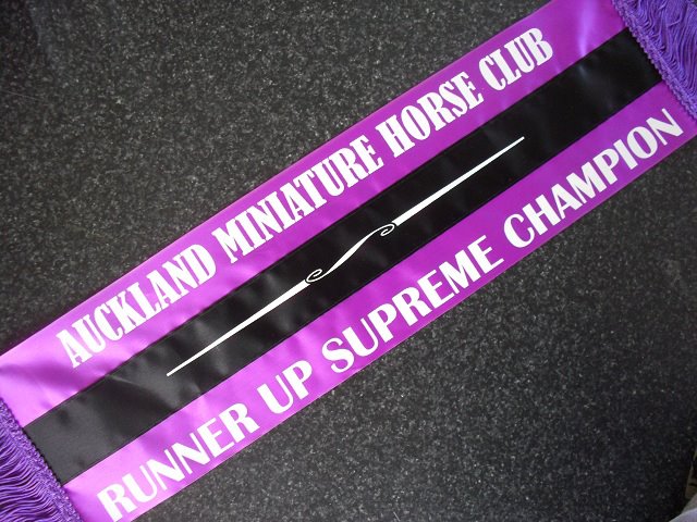 150mm x 610 mm 2 colour sash with white printing and purple fringe