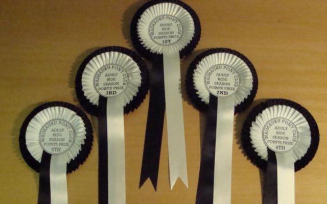 Double Rosette, Razor Pleating, 2 colour, 2 tail.