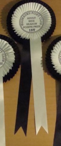 Double Rosette, Razor Pleating, 2 colour, 2 tail.