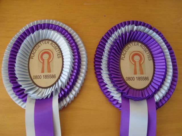 Triple Oval Rosette, Razor Pleating, 2 colour, 3 tail.