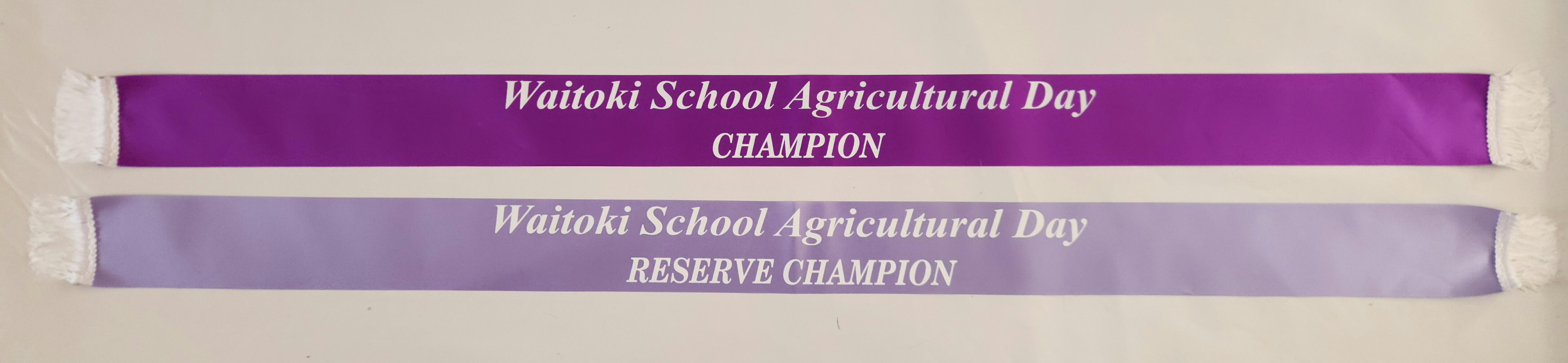 Champion Ribbons